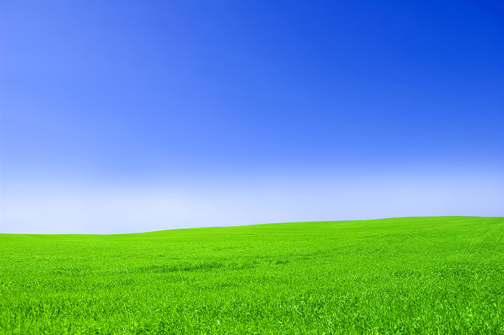 蓝色的天空 绿色的大草原 自然风景