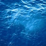 深海 蓝色 海水 鱼 大自然 潜水