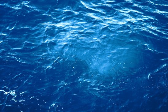深海 蓝色 海水 鱼 大自然 潜水