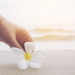 美女手拿鲜花 热带 海滩 海浪 旅游 休闲