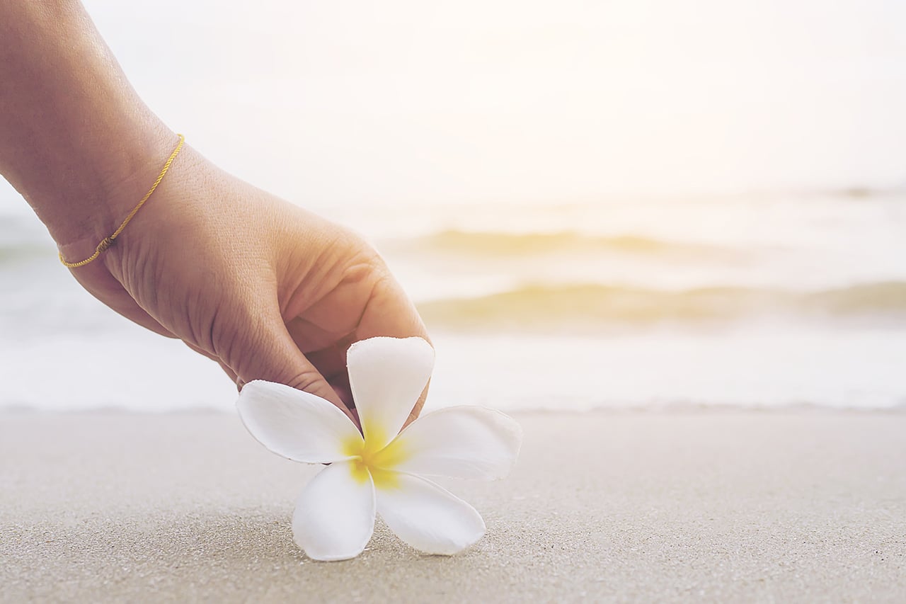 美女手拿鲜花 热带 海滩 海浪 旅游 休闲